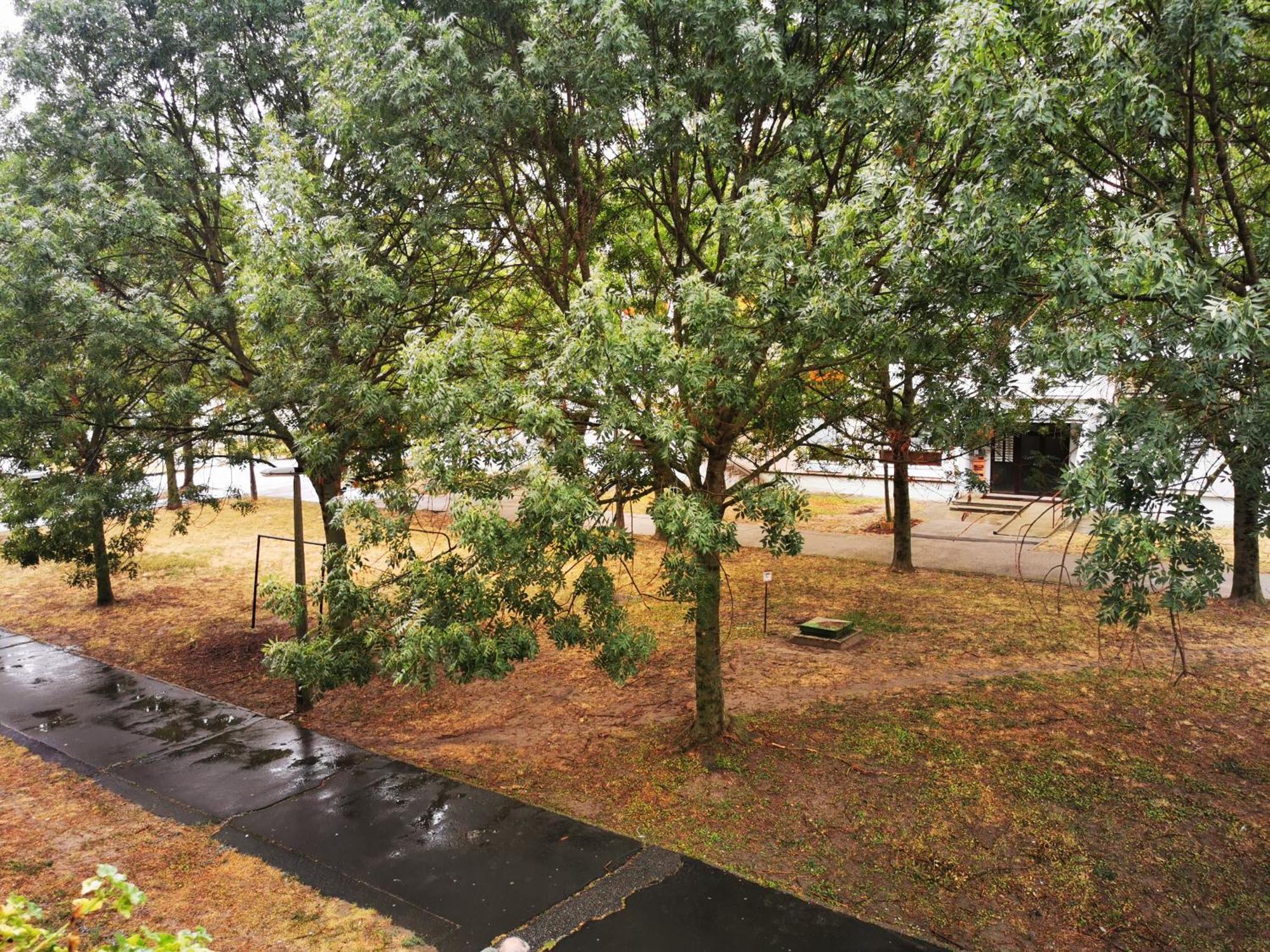 Central Park Apartman Szekszárd エクステリア 写真